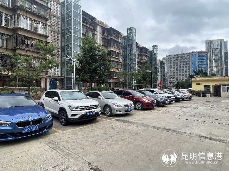 社区活动如何成为邻里间温馨纽带的力量源泉?