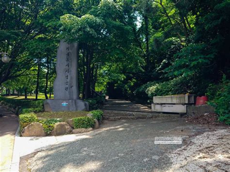 社区卫生:守护健康的第一道防线